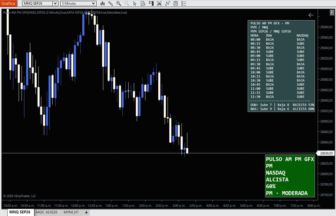 Pulso AM PM GFX en NinjaTrader 8