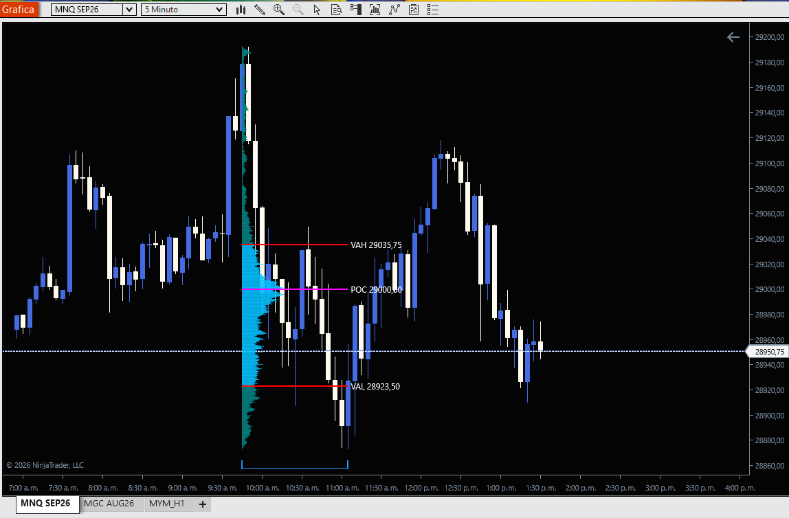 Volumen Profile GFX en NinjaTrader 8