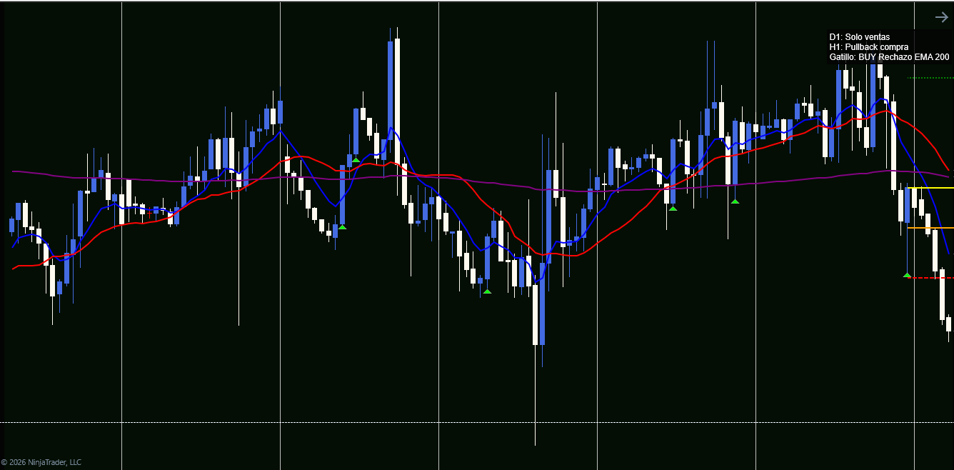 YM_MYM_H1GFX en NinjaTrader 8